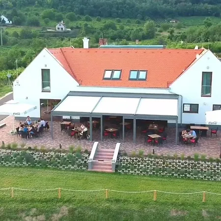 Vitis Kuria Balatonfenyves